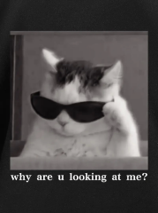''Neden Bana Bakıyorsun?'' Komik Kedi Grafik Tişört - Dijital Baskılı Siyah Bol Kesim Streetwear Tişört, Erkekler için Dört Mevsim Günlük Gömlek - Siyah